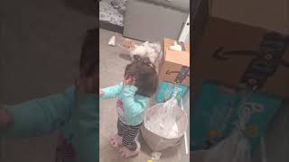 Baby Bumped Over by Playful Pet Dog as Mother Laughs