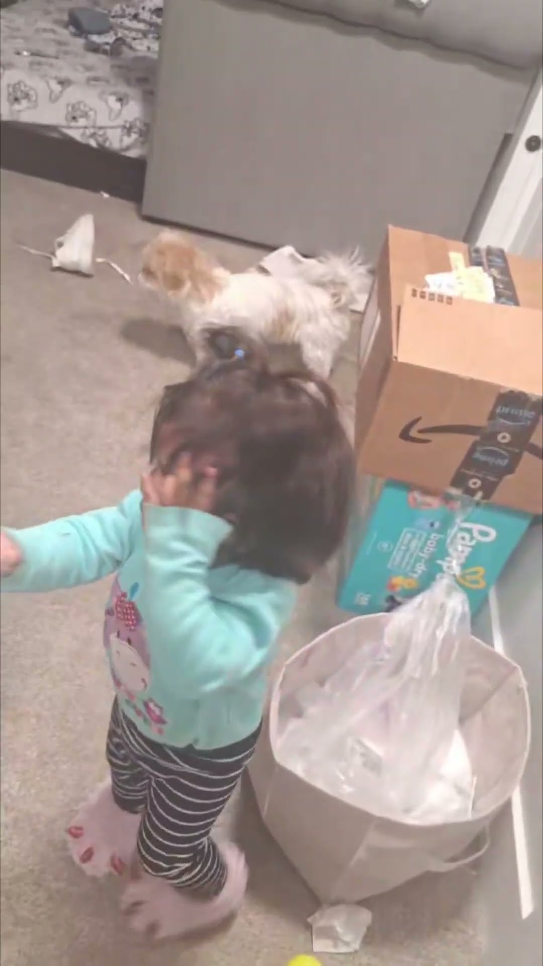 Baby Bumped Over by Playful Pet Dog as Mother Laughs
