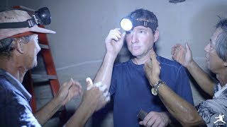 Sarawak: Swiftlet Birds
