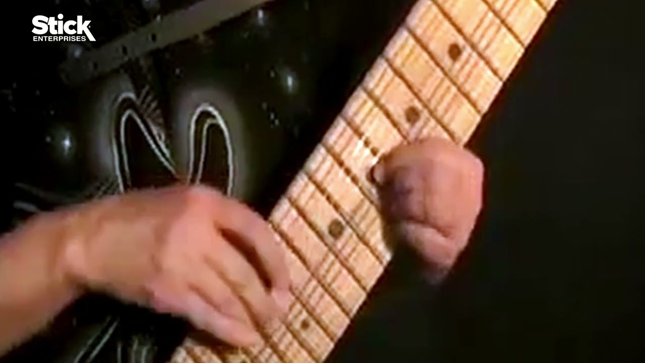SG12™ Stick Guitar® - Stick Enterprises