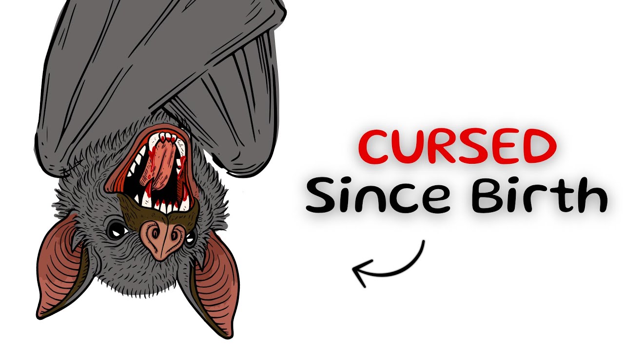 Why it Sucks to be Born as a Bat