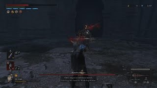 Lies of P || Nameless Puppet, finally down!