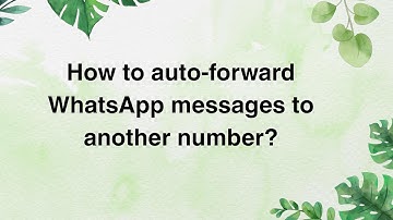 How to auto‑forward WhatsApp messages to another number?
