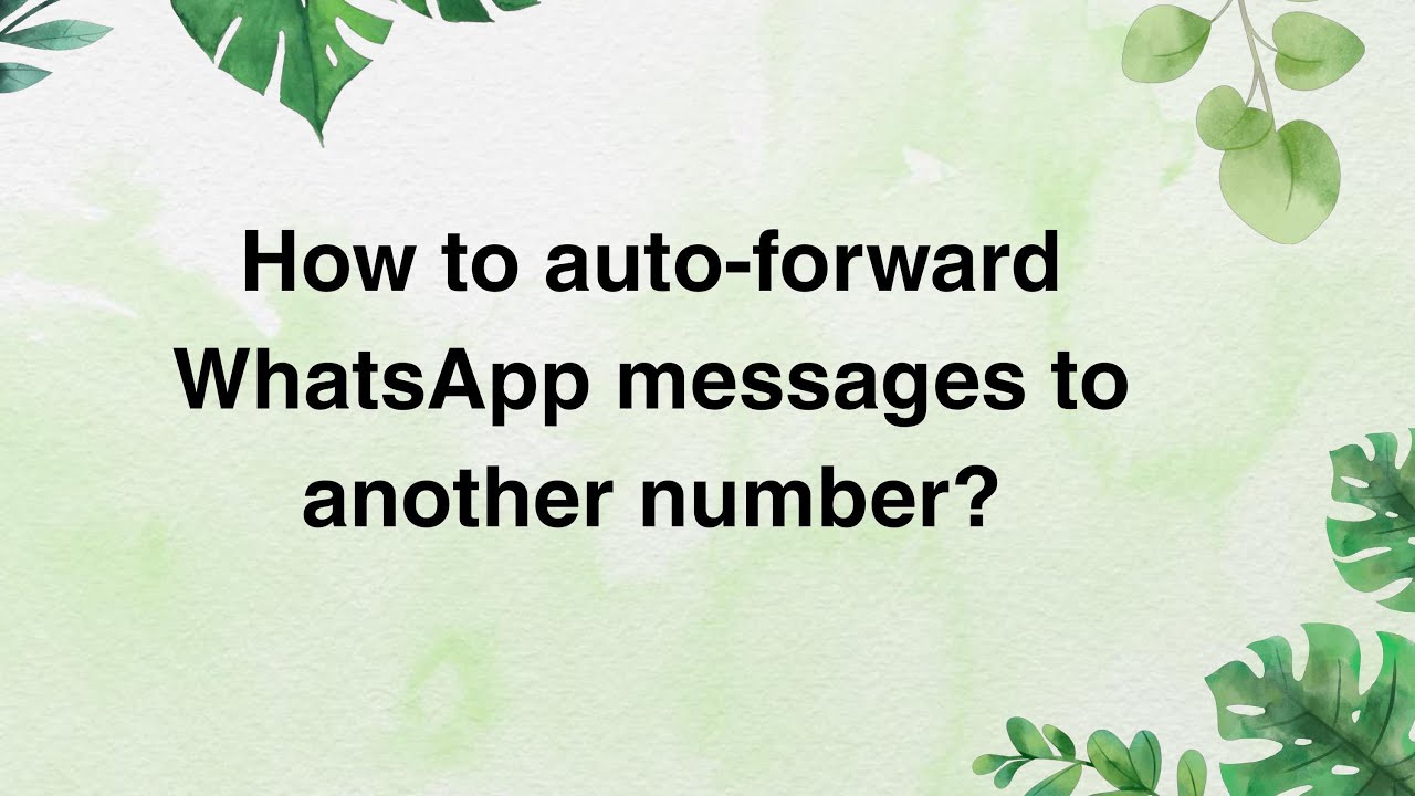 how-to-auto-forward-whatsapp-messages-to-another-number-youtube