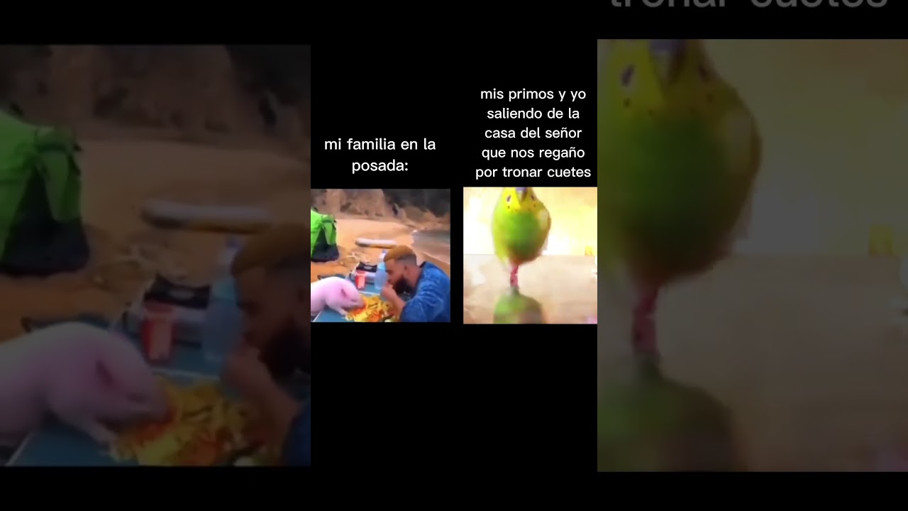 literal xd