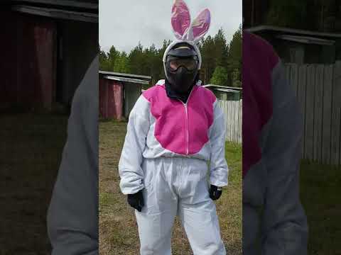 Pompi pompi -