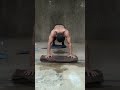 wrestling workout dand (Hindu push-ups ) #shorts | #ytshorts