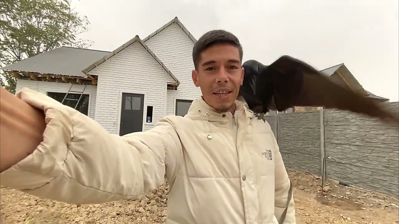 Новость о кыргызе, заработавшем деньги на воронах, — хорошая новость.