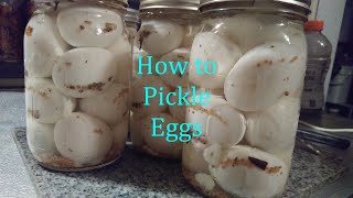 How I Pickle Eggs #preserving