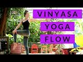 Vinyasa Yoga Flow with Cole Chance