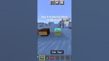 DAY 4 of placing block in Minecraft till 1K Subscribers. #minecraft #shorts
