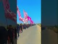 مسيرة موكب ابو الفضل العباس ع اهالي قضاء المدينه البصره الدغاره 1445هـ 