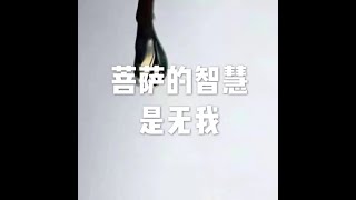 201509 菩萨的智慧是无我21651