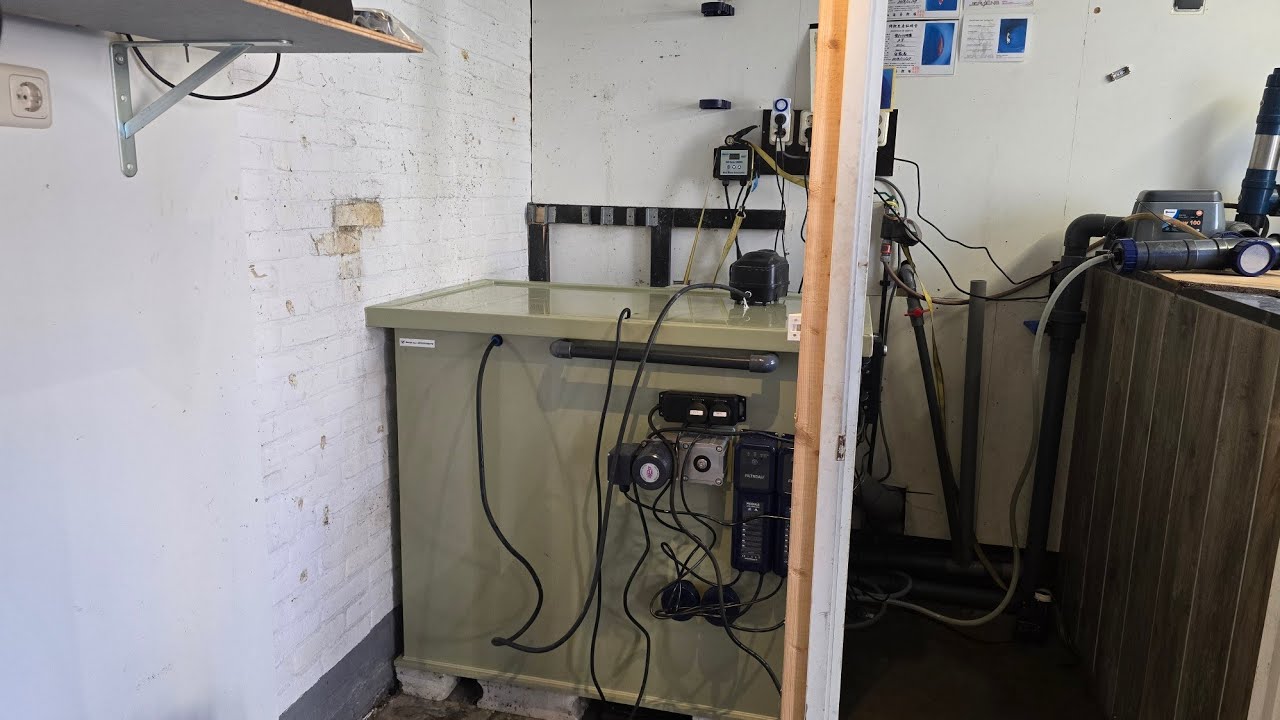 #Lovekoidealerlive weekoverzicht 1 Januari 2026 updates en kou!!!!