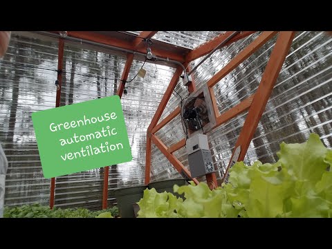 Video: Automated Ventilation In The Greenhouse