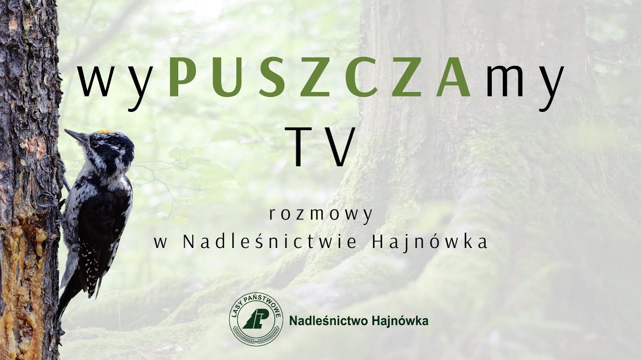 wyPUSZCZAmy TV - odcinek 10 - O dzięciołach słów kilka - Wojciech Sobociński