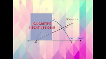 Application of Integration In Economy And Business