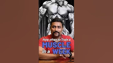 How often to Train a Muscle in a Week ?? #shorts