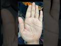 Palmistry - Work of Saturn Ring in hand & its Effect in Life (English) # Short #video #Saturn #ring