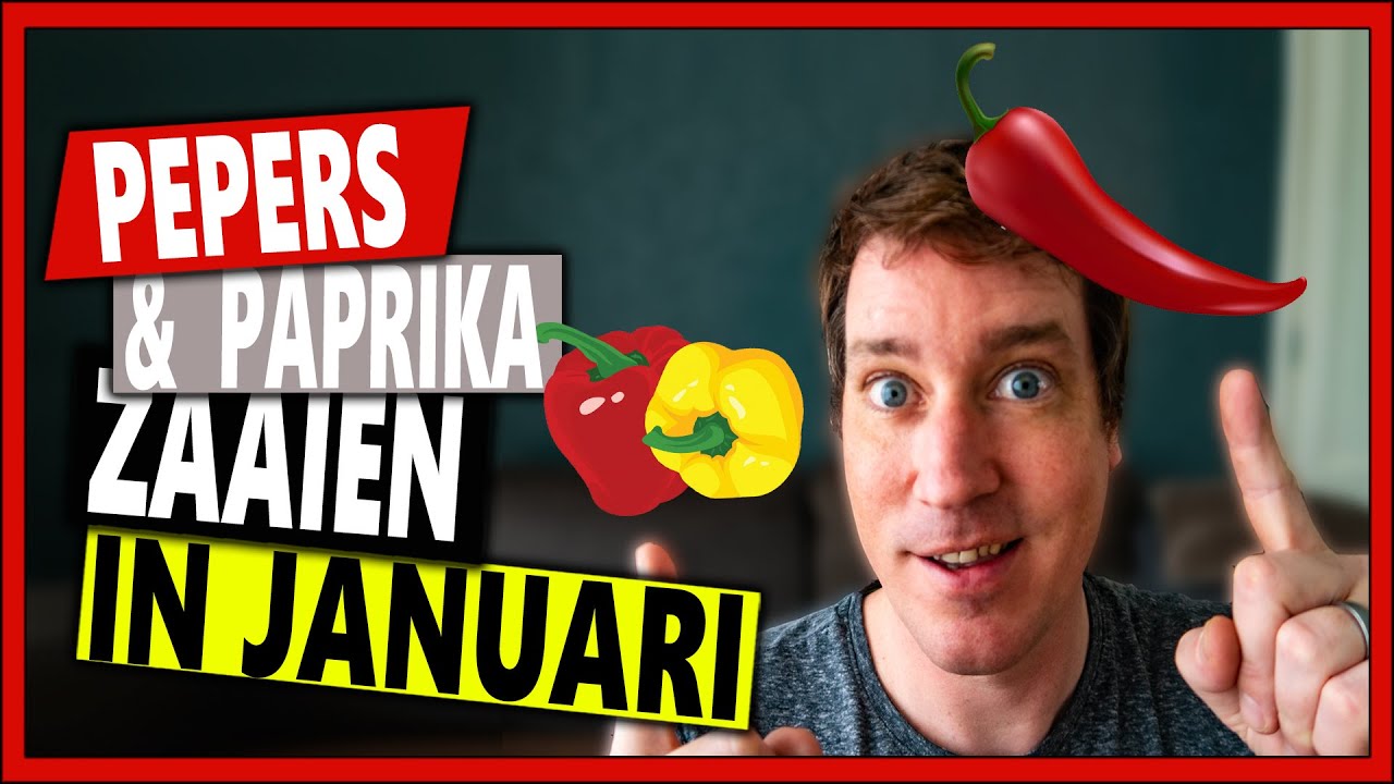 PEPERS ZAAIEN EN PEPERS KWEKEN IN JANUARI | Vlog 114 | Paprika zaaien en paprika kweken in januari