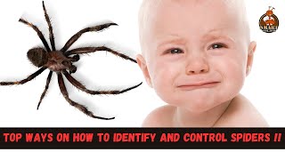 Top ways on how to identify and control spiders !!