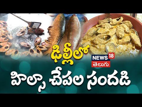 Hilsa Fish Arrives In Delhi ఢ ల ల ల హ ల స చ పల స దడ Ilish Marks Festive Season Arrival N18V 