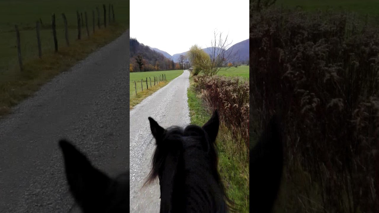 Barefoot horseback riding YouTube