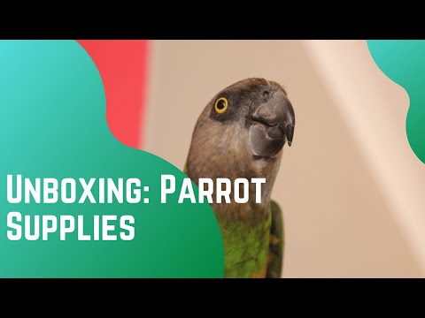 Unboxing Parrot Supplies
