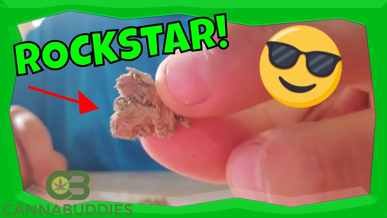 Rockstar 2020 Cannabis Strain Review & Promo Code for Kana Post