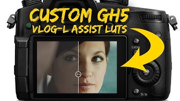 Using Custom GH5 .Vlt Luts In Camera While Filming