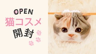【コスメ紹介】ニャンと可愛い猫コスメ＊ネコスメ＊BRIGITTE＊エテュセ＊PAUL & JOE