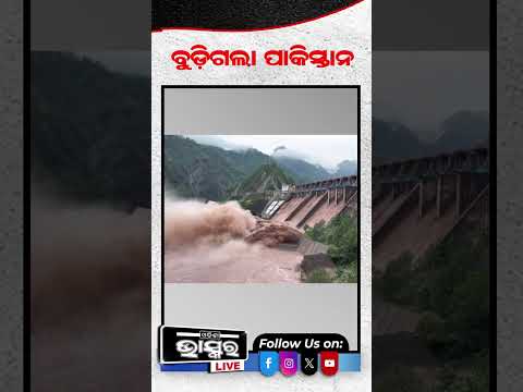 ବୁଡିଗଲା ପାକିସ୍ତାନ... #shortsvideo #odishanews #odishabhaskar