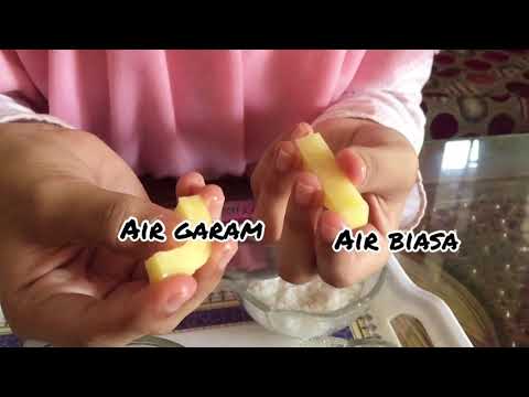 Video: Variabel apa yang diuji dalam percobaan osmosis ini?