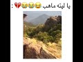 اغنية يا ليته مهاب 