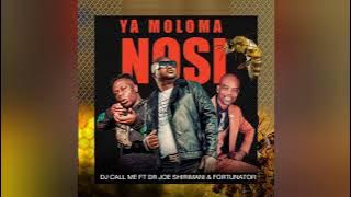 DJ Call Me - Ya Moloma Nosi (Official Audio) [feat Dr Joe Shirimani & Fortunator]