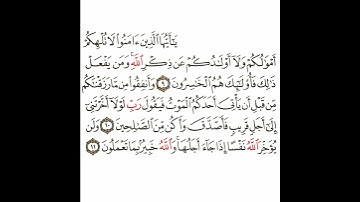سورة المنافقون 4 القسم الرابع تكرار كيفي من .. يا أيها الذين آمنوا لا تلهكم  .. إلى .. بما تعلمون