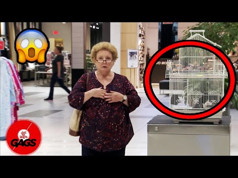 She just lost her friend.. | Just For Laughs Gags