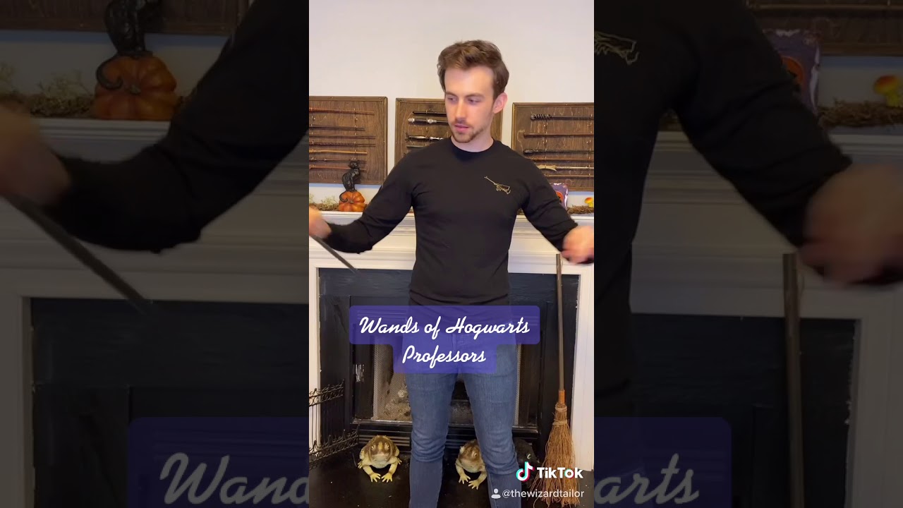 Wands of Hogwarts Professors