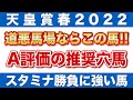 【天皇賞・春2022 予想】道悪馬場ならこの馬！A評価の推奨穴馬を公開！?