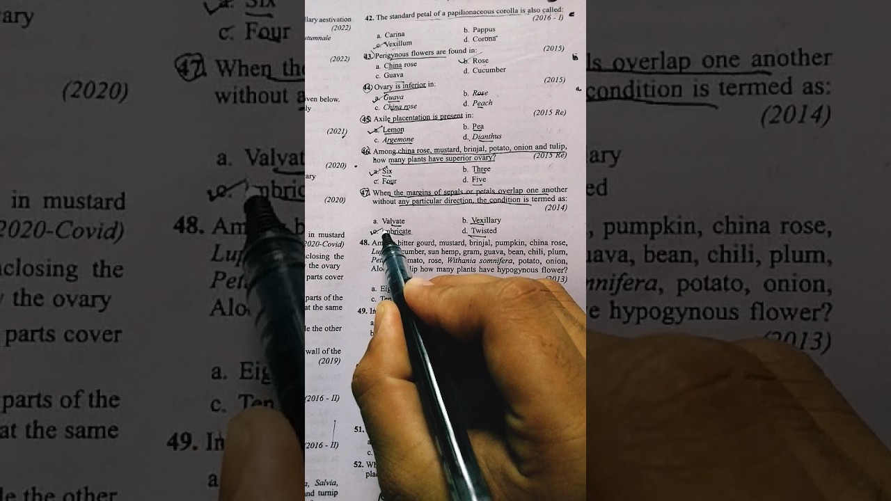 Morphology of Flowering Plants Neet Important Questions of Botany Biology