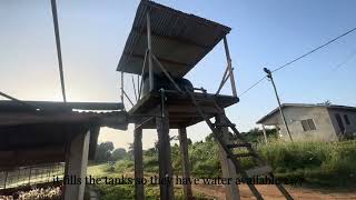 Morning Routine At The Poultry Farm A Day In The Life Of A Farmer
