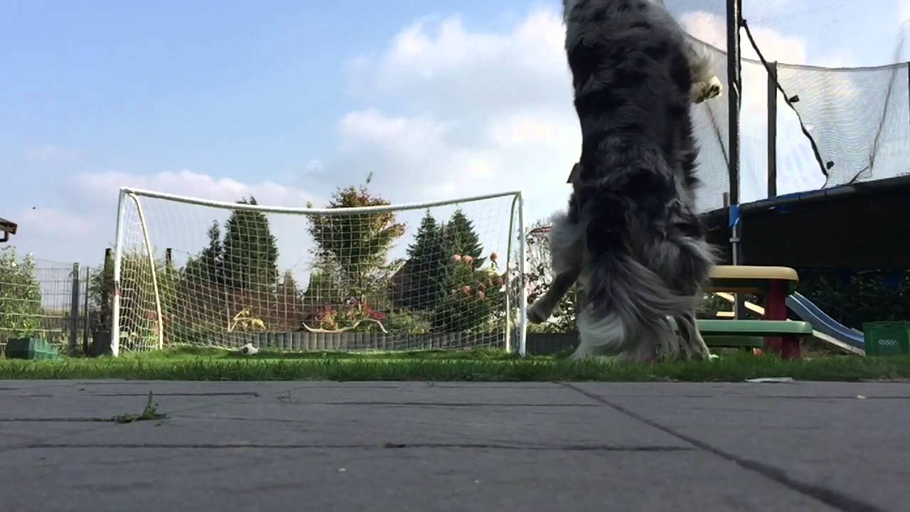 IPhone 6 Slow Motion Compilation 240fps YouTube
