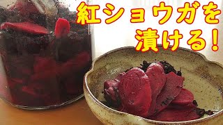 昔風な『自家製紅ショウガ』失敗なく最も簡単に漬けれる方法です！長期保存ＯＫ！料理 レシピ 簡単