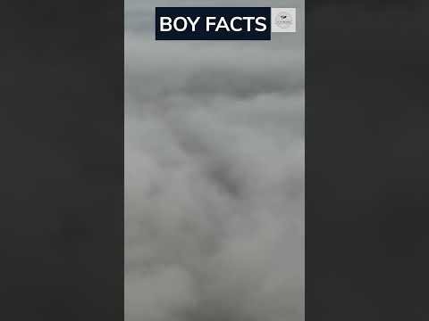 Shorts Boyfacts Boyshorts Boy Boys Boyattitude 