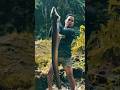 Ilmuwan dibuat bingung dengan cara bereproduksi ikan ini #shortvideo #faktaunik