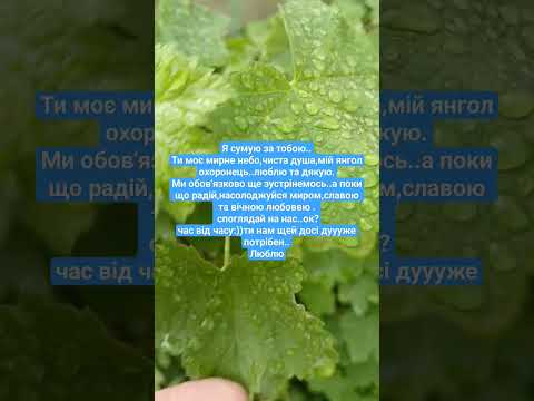 Добре що ми маємо надію бути у вічності поряд з нашими найкращими Дякуєм Ісусе 