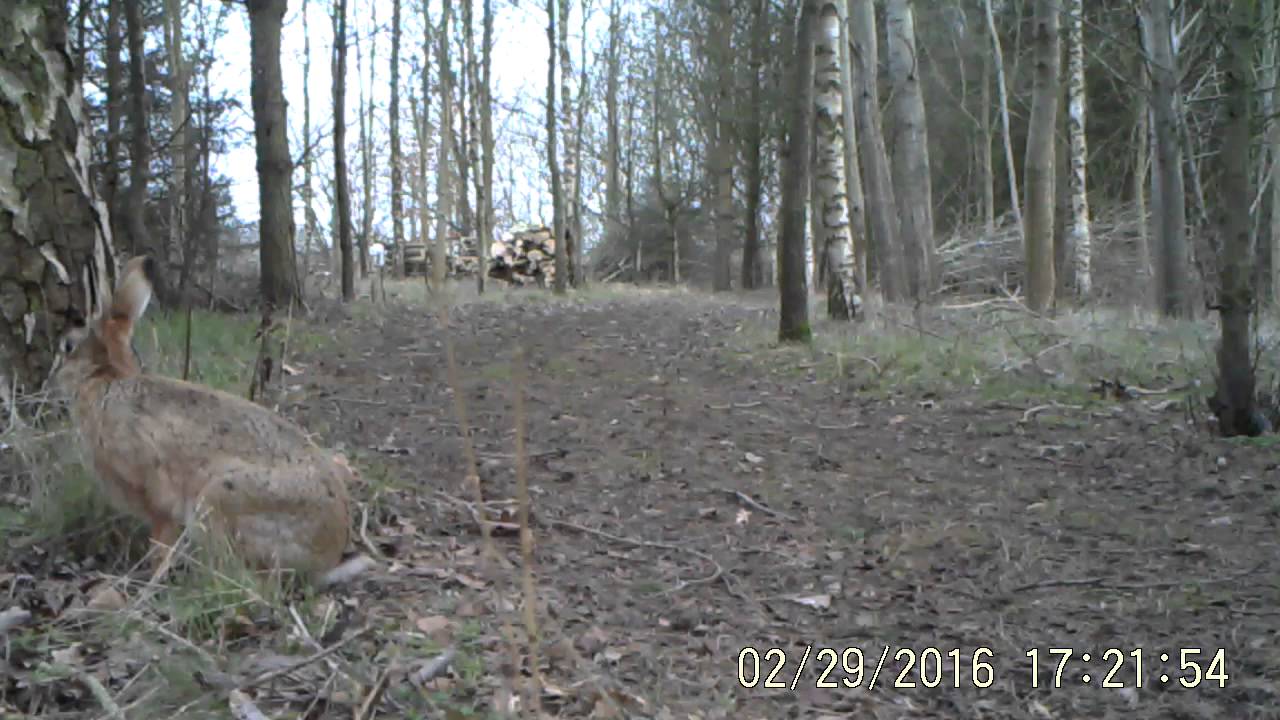 And Hares One We Took Earlier!