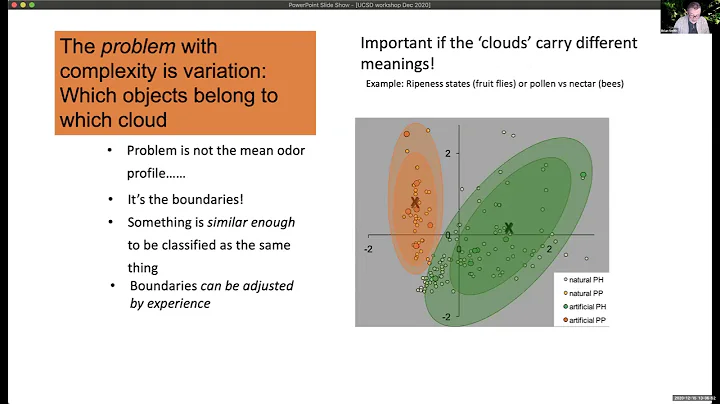 The evolution of 'minibrains'": Potential implications for neural computation - Brian Smith