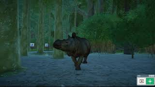 Planet zoo modded Sumatran rhinoceros