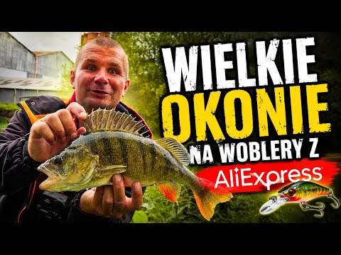 Perch and chub on Wobblers from Ali